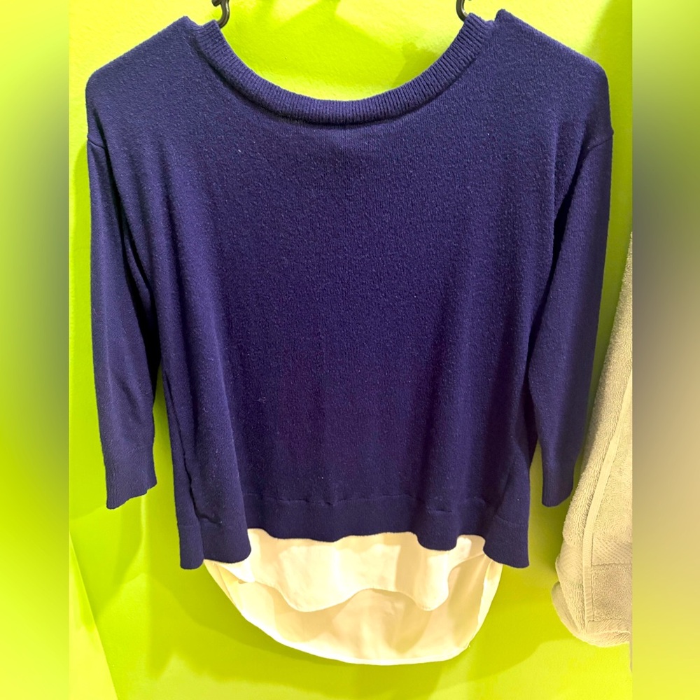 Ann Taylor Navy Sweater